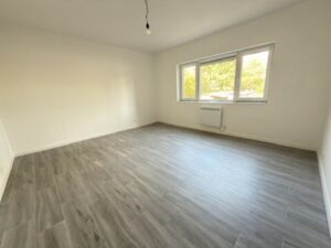 74E4B3B1-CC75-4367-983D-FE2BD94011A1_4_5005_c