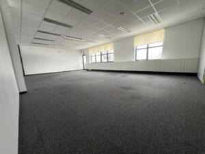 CECC8E01-F505-4D80-8536-5F6942C6BA8F_1_105_c