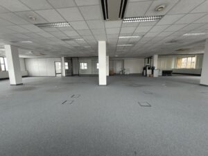 814132B4-38EE-49CB-9F39-0881E5124D30_1_105_c