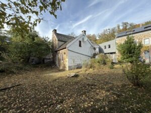 FDEB4A85-6650-43CB-A325-78FA8796458C_4_5005_c